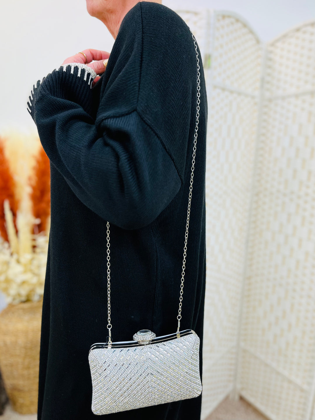 Small Silver Clutch Bag DESIGNER MISS KG SILVER GLITTER HARD SHELL